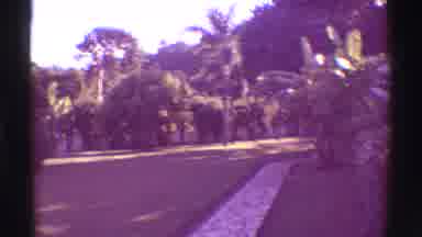 Mauna Ulu Hawaii (1971): Vintage Close-Up Video Of Palm Trees In Manicured Lawn