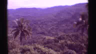 Mauna Ulu Hawaii (1971): Rolling Hills In The Jungle With Palm Trees In The