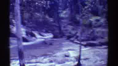 Mauna Ulu Hawaii (1971): Looking Out At A Beautiful River With Trees And Grass