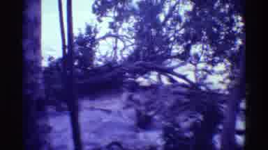 Mauna Ulu Hawaii (1971): Nature Tropical Land Fresh Water Lakes And Waterfalls