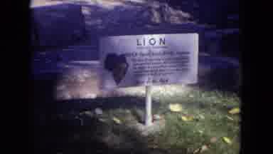 Lincoln Park Illinois USA (1972): Lion Taking A Nap In A Cave In His Enclosure In