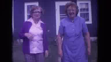 Lake Geneva Wisconsin USA (1972): A Group Of Women Meeting A Cat For The First