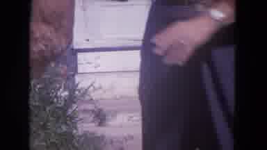 Lake Geneva Wisconsin USA (1972): Cat Handle Garden Two Person