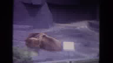 Colby Wisconsin USA (1972): Walking At Zoo Watching Lazy Bear Laying In Exhibit