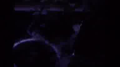 Racine Wisconsin USA (1972): Video Looking Out A Window On A Snowy Day At A Dog