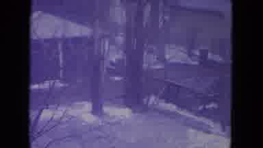 Racine Wisconsin USA-1972: The Dog In The Snow
