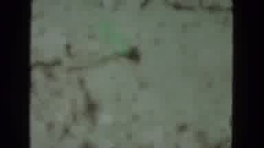 Racine Wisconsin USA (1972): Video From A Number Of A Building And Yellow Flowers