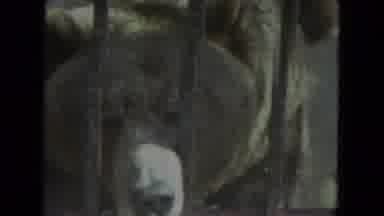 Racine Wisconsin USA (1972): Timber Wolf A Large Sad Brown Bear And A Polar Bear