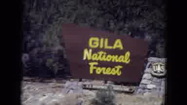 Gila National Forest New Mexico (1973): A Scene Of Gila National Forest On A