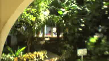 Mexico City (1973): Landscaping And Nature Surrounds A Building As The Camera