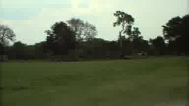 Mexico City (1973): Grassy Field With Trees