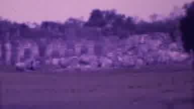 Mexico City (1973): Exploring Ancient Ruins In A Foreign Country