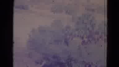 Orlando Florida USA-1974: Aerial Perspective View Of Forest Area From Aircraft