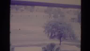 Orlando Florida USA (1974): Artistic View Of Green Park With Grass And Trees Short