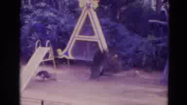 Orlando Florida USA (1974): Does A Ghost Appear Mysterious Symbol Could It Be A