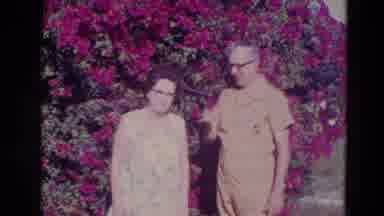 Orlando Florida USA (1974): Elder Man Picks Flower And Places It Next To Elder