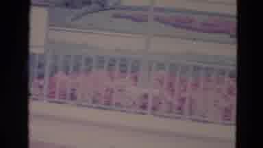 Orlando Florida USA (1974): Welcome To Disney Land Where The Magic Never Ends
