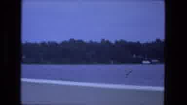 Fort Wayne Indiana (1974): Camera Captures The Water And Trees As We Drive By
