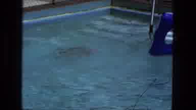Fort Wayne Indiana (1974): Little Girl Splashing At The Shallow End Of A Pool On A