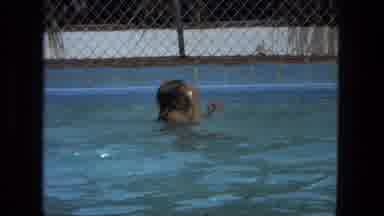 Fort Wayne Indiana (1974): Child Swimming Under And Above Water In A Chain-Link