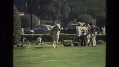 India (1974): People Wandering In Beauty