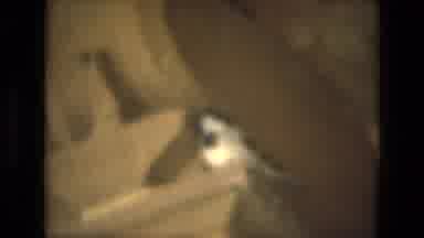 India (1974): A Bird On The House Wall