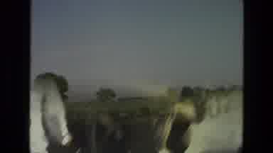 India (1974): Taking In The Sights Of Nature And The Sights That The City Has To