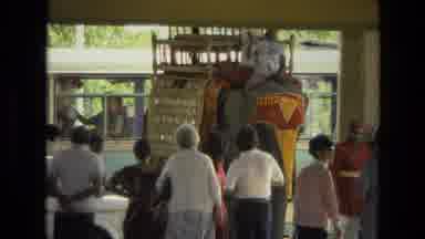 India (1974): Man Rides Elephant Up To The Crowd Of People Who May Be Waiting For