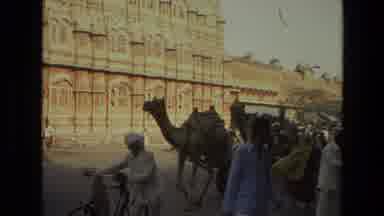 India-1974: Arab People And Camels Walking In The Middle Of The Day In A