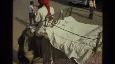 India (1974): Man Wearing Red Turban Gives People Elephant Ride On A Bright Sunny