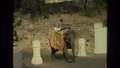 India (1974): People Riding Elephants
