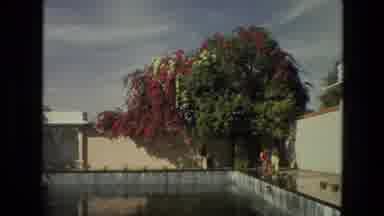 India (1974): Inside Of A Historical Building With A Big Pond And Ladies Walking