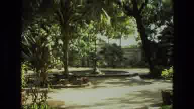 India (1974): We Are Taking A Ride In The Jungle To Look At The Grass