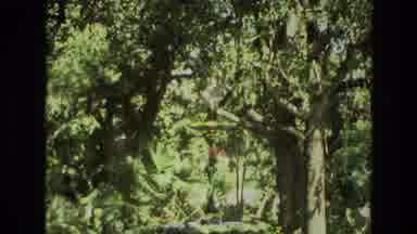 India (1974): A Large White Sheet In A Tall Green Tree Blowing In The Wind