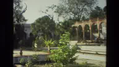 India (1974): Tropical Plants In A Sunny Garden