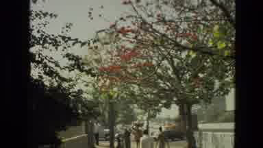 India (1974): Welcome To The Big City Buildings Rivers Old School Island