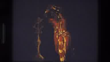 India (1974): Women Dancing Stage Costumes Ceremonial Rituals Graceful Movements