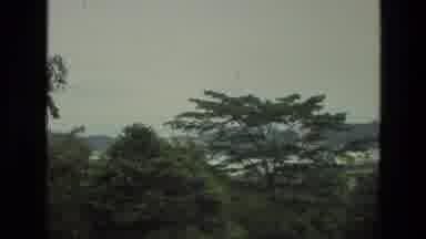 India (1974): Helicopter Or Flying Object Flying Above The Treetops With Trees In