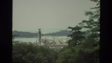 India (1974): View Of The City Hill Enjoying Nature With Animal Flowers And