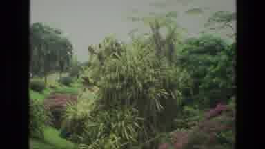 India (1974): A View Of A Unique Garden