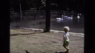 California USA (1975): Family Play At Park And The Child Has A Good Time Riding A