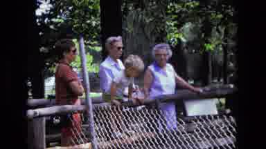 California USA (1975): A Group Of People Looking At Animals In A Zoo While