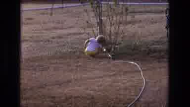 California USA (1975): Home Movie Children Family Playing