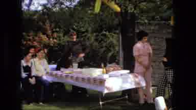 Fort Wayne Indiana (1976): Enjoying Family And Friends At Our Annual Summer Picnic