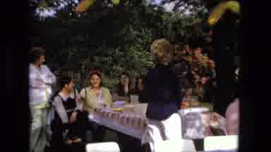 Fort Wayne Indiana (1976): People Standing Around Talking At A Celebration
