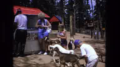 Fort Wayne Indiana (1976): Dogs Visit The Food Stand