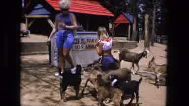 Fort Wayne Indiana (1976): A Young Girl And Her Mother At A Petting Zoo With Lots