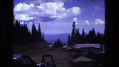 Fort Wayne Indiana (1976): In A Vast Ground Surrounded By Coniferous Trees Lot Of