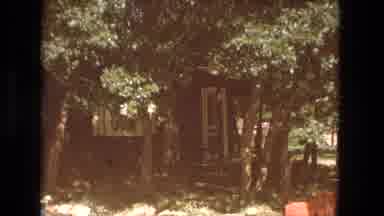 Fort Wayne Indiana (1976): Bushes And Trees Outside Of A Building With Two Cars