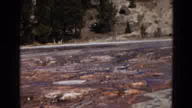 Yellowstone Park Wyoming (1967): The River Was Dry